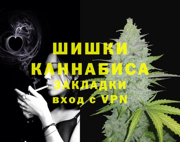хмурый Липки