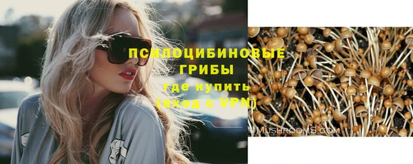 хмурый Липки