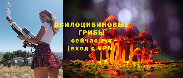 гидра Магадан