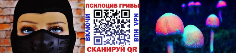 Купить где Лабытнанги Псилоцибиновые грибы мицелий